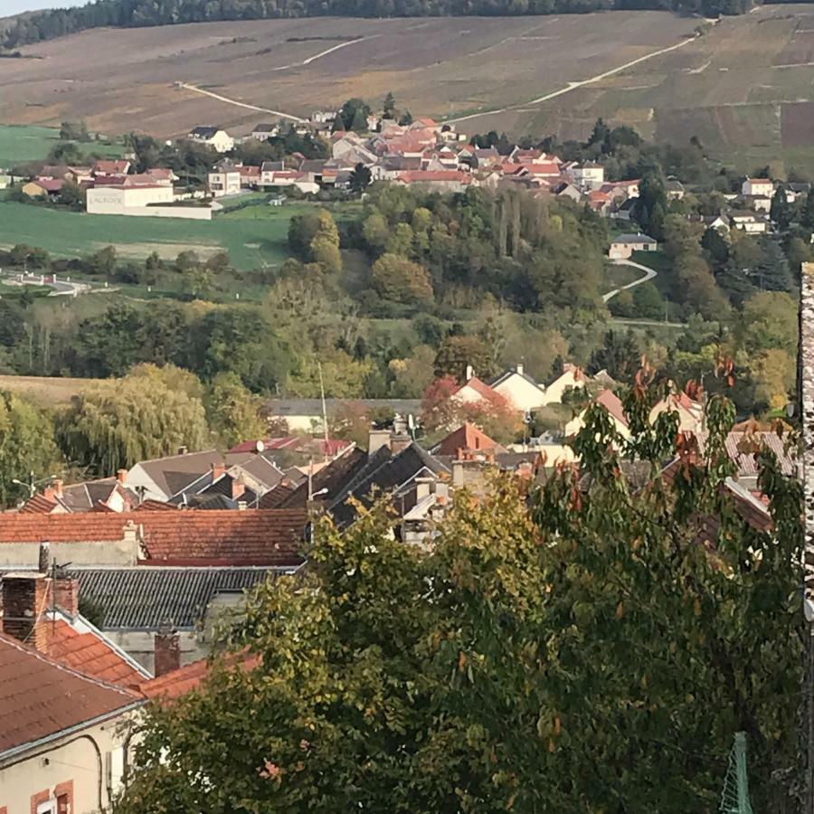 Chambres D'Hotes Karine Smej Châtillon-sur-Marne Eksteriør billede